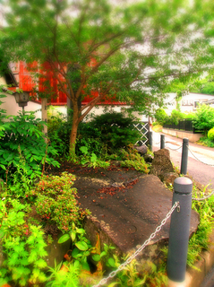s81哒EG02.jpg